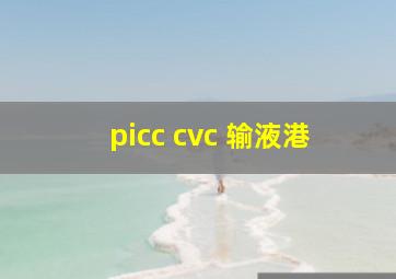 picc cvc 输液港